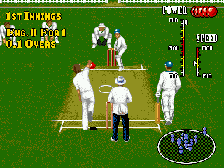 Скриншот игры Brian Lara Cricket